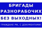 Услуги разнорабочих, разнорабочие, подсобники